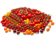 Assortiment RedStar